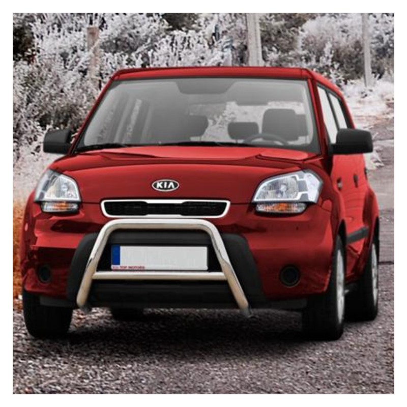 Kia soul cheap bull bar