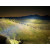 Phare Nacho Grande LO ARB 80 Watts