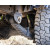 Amortisseur Avant IM2.5 Jeep Gladiator JT