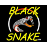 Black Snake