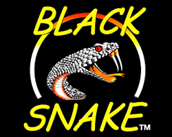 Black Snake